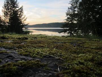 Фото номера Шале Шале Jouhkolan Lumon Kiviniemi г. Тохмаярви 25